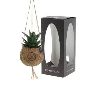 De Kokodama®, een botanische schoonheid die geen plastic bevat en voor 99% natuurlijk en 100% biologisch afbreekbaar is, biedt een unieke en duurzame optie voor relatiegeschenken. Haar bol van kokosvezels creëert een gezellig en duurzaam huis voor trendy en bijzondere planten. Hangend aan het plafond of zittend op een tafel bureau, de Kokodama® kan in elk interieur haar natuurlijke habitat vinden. Gemaakt met de hand in Sri Lanka, draagt de Kokodama® bij aan de lokale economie en stimuleert het vakmanschap. Deze Kokodama® mix bevat verschillende soorten vetplanten, waardoor hij lang meegaat en zelfs voor mensen zonder groene vingers heel gemakkelijk te verzorgen is. <br /><br />Naast het unieke uiterlijk van de Kokodama®, biedt dit product een uitstekende mogelijkheid tot personalisatie met een logo of slogan. Hierdoor wordt het meer dan alleen een decoratief object; het fungeert als een subtiel middel om jouw bedrijf of merk te promoten, of om simpelweg een boodschap over te brengen. Op deze manier bouw je een positieve associatie op met jouw bedrijf of merk, terwijl de Kokodama® op de bureaus van relaties of medewerkers prijkt. De Kokodama® wordt nog leuker om te geven én te ontvangen dankzij de passende FSC geschenkverpakking. Door dit geschenk te geven, toon je niet enkel waardering, maar versterk je ook relaties en betrokkenheid, terwijl je tegelijkertijd een positieve impact hebt op het imago van jouw bedrijf. <br /><br />Heeft u vragen over dit product, de gewenste personalisatie of eventuele verpakkingen? Neem dan gerust contact met ons op. De Kokodama®, een botanische schoonheid die geen plastic bevat en voor 99% natuurlijk en 100% biologisch afbreekbaar is, biedt een unieke en duurzame optie voor relatiegeschenken. Haar bol van kokosvezels creëert een gezellig en duurzaam huis voor trendy en bijzondere planten. Hangend aan het plafond of zittend op een tafel bureau, de Kokodama® kan in elk interieur haar natuurlijke habitat vinden. Gemaakt met de hand in Sri Lanka, draagt de Kokodama® bij aan de lokale economie en stimuleert het vakmanschap. Deze Kokodama® mix bevat verschillende soorten vetplanten, waardoor hij lang meegaat en zelfs voor mensen zonder groene vingers heel gemakkelijk te verzorgen is. <br /><br />Naast het unieke uiterlijk van de Kokodama®, biedt dit product een uitstekende mogelijkheid tot personalisatie met een logo of slogan. Hierdoor wordt het meer dan alleen een decoratief object; het fungeert als een subtiel middel om jouw bedrijf of merk te promoten, of om simpelweg een boodschap over te brengen. Op deze manier bouw je een positieve associatie op met jouw bedrijf of merk, terwijl de Kokodama® op de bureaus van relaties of medewerkers prijkt. De Kokodama® wordt nog leuker om te geven én te ontvangen dankzij de passende FSC geschenkverpakking. Door dit geschenk te geven, toon je niet enkel waardering, maar versterk je ook relaties en betrokkenheid, terwijl je tegelijkertijd een positieve impact hebt op het imago van jouw bedrijf. <br /><br />Heeft u vragen over dit product, de gewenste personalisatie of eventuele verpakkingen? Neem dan gerust contact met ons op.
