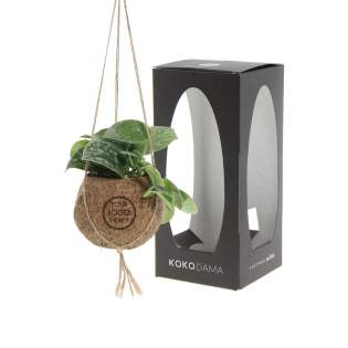 De Kokodama®, een botanische schoonheid die geen plastic bevat en voor 99% natuurlijk en 100% biologisch afbreekbaar is, biedt een unieke en duurzame optie voor relatiegeschenken. Haar bol van kokosvezels creëert een gezellig en duurzaam huis voor trendy en bijzondere planten. Hangend aan het plafond of zittend op een tafel bureau, de Kokodama® kan in elk interieur haar natuurlijke habitat vinden. Gemaakt met de hand in Sri Lanka, draagt de Kokodama® bij aan de lokale economie en stimuleert het vakmanschap. Deze Kokodama® mix bevat verschillende soorten groene planten welke met zorg zijn uitgekozen, deze levende planten vergen natuurlijk wel wat onderhoud. <br /><br />Naast het unieke uiterlijk van de Kokodama®, biedt dit product een uitstekende mogelijkheid tot personalisatie met een logo of slogan. Hierdoor wordt het meer dan alleen een decoratief object; het fungeert als een subtiel middel om jouw bedrijf of merk te promoten, of om simpelweg een boodschap over te brengen. Op deze manier bouw je een positieve associatie op met jouw bedrijf of merk, terwijl de Kokodama® op de bureaus van relaties of medewerkers prijkt. De Kokodama® wordt nog leuker om te geven én te ontvangen dankzij de passende FSC geschenkverpakking. Door dit geschenk te geven, toon je niet enkel waardering, maar versterk je ook relaties en betrokkenheid, terwijl je tegelijkertijd een positieve impact hebt op het imago van jouw bedrijf. <br /><br />Heeft u vragen over dit product, de gewenste personalisatie of eventuele verpakkingen? Neem dan gerust contact met ons op. De Kokodama®, een botanische schoonheid die geen plastic bevat en voor 99% natuurlijk en 100% biologisch afbreekbaar is, biedt een unieke en duurzame optie voor relatiegeschenken. Haar bol van kokosvezels creëert een gezellig en duurzaam huis voor trendy en bijzondere planten. Hangend aan het plafond of zittend op een tafel bureau, de Kokodama® kan in elk interieur haar natuurlijke habitat vinden. Gemaakt met de hand in Sri Lanka, draagt de Kokodama® bij aan de lokale economie en stimuleert het vakmanschap. Deze Kokodama® mix bevat verschillende soorten groene planten welke met zorg zijn uitgekozen, deze levende planten vergen natuurlijk wel wat onderhoud. <br /><br />Naast het unieke uiterlijk van de Kokodama®, biedt dit product een uitstekende mogelijkheid tot personalisatie met een logo of slogan. Hierdoor wordt het meer dan alleen een decoratief object; het fungeert als een subtiel middel om jouw bedrijf of merk te promoten, of om simpelweg een boodschap over te brengen. Op deze manier bouw je een positieve associatie op met jouw bedrijf of merk, terwijl de Kokodama® op de bureaus van relaties of medewerkers prijkt. De Kokodama® wordt nog leuker om te geven én te ontvangen dankzij de passende FSC geschenkverpakking. Door dit geschenk te geven, toon je niet enkel waardering, maar versterk je ook relaties en betrokkenheid, terwijl je tegelijkertijd een positieve impact hebt op het imago van jouw bedrijf. <br /><br />Heeft u vragen over dit product, de gewenste personalisatie of eventuele verpakkingen? Neem dan gerust contact met ons op.