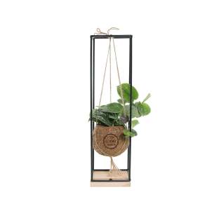 De Kokodama®, een botanische schoonheid die geen plastic bevat en voor 99% natuurlijk en 100% biologisch afbreekbaar is, biedt een unieke en duurzame optie voor relatiegeschenken. Haar bol van kokosvezels creëert een gezellig en duurzaam huis voor trendy en bijzondere planten. Hangend aan het plafond of zittend op een tafel bureau, de Kokodama® kan in elk interieur haar natuurlijke habitat vinden. Gemaakt met de hand in Sri Lanka, draagt de Kokodama® bij aan de lokale economie en stimuleert het vakmanschap. Deze Kokodama® mix bevat verschillende soorten groene planten welke met zorg zijn uitgekozen, deze levende planten vergen natuurlijk wel wat onderhoud. <br /><br />Naast het unieke uiterlijk van de Kokodama®, biedt dit product een uitstekende mogelijkheid tot personalisatie met een logo of slogan. Hierdoor wordt het meer dan alleen een decoratief object; het fungeert als een subtiel middel om jouw bedrijf of merk te promoten, of om simpelweg een boodschap over te brengen. Op deze manier bouw je een positieve associatie op met jouw bedrijf of merk, terwijl de Kokodama® op de bureaus van relaties of medewerkers prijkt. Door dit geschenk te geven, toon je niet enkel waardering, maar versterk je ook relaties en betrokkenheid, terwijl je tegelijkertijd een positieve impact hebt op het imago van jouw bedrijf. <br /><br />Heeft u vragen over dit product, de gewenste personalisatie of eventuele verpakkingen? Neem dan gerust contact met ons op. De Kokodama®, een botanische schoonheid die geen plastic bevat en voor 99% natuurlijk en 100% biologisch afbreekbaar is, biedt een unieke en duurzame optie voor relatiegeschenken. Haar bol van kokosvezels creëert een gezellig en duurzaam huis voor trendy en bijzondere planten. Hangend aan het plafond of zittend op een tafel bureau, de Kokodama® kan in elk interieur haar natuurlijke habitat vinden. Gemaakt met de hand in Sri Lanka, draagt de Kokodama® bij aan de lokale economie en stimuleert het vakmanschap. Deze Kokodama® mix bevat verschillende soorten groene planten welke met zorg zijn uitgekozen, deze levende planten vergen natuurlijk wel wat onderhoud. <br /><br />Naast het unieke uiterlijk van de Kokodama®, biedt dit product een uitstekende mogelijkheid tot personalisatie met een logo of slogan. Hierdoor wordt het meer dan alleen een decoratief object; het fungeert als een subtiel middel om jouw bedrijf of merk te promoten, of om simpelweg een boodschap over te brengen. Op deze manier bouw je een positieve associatie op met jouw bedrijf of merk, terwijl de Kokodama® op de bureaus van relaties of medewerkers prijkt. Door dit geschenk te geven, toon je niet enkel waardering, maar versterk je ook relaties en betrokkenheid, terwijl je tegelijkertijd een positieve impact hebt op het imago van jouw bedrijf. <br /><br />Heeft u vragen over dit product, de gewenste personalisatie of eventuele verpakkingen? Neem dan gerust contact met ons op.