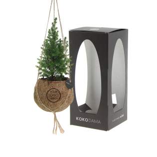 De Kokodama®, een botanische schoonheid die geen plastic bevat en voor 99% natuurlijk en 100% biologisch afbreekbaar is, biedt een unieke en duurzame optie voor relatiegeschenken. Haar bol van kokosvezels creëert een gezellig en duurzaam huis voor trendy en bijzondere planten. Hangend aan het plafond of zittend op een tafel bureau, de Kokodama® kan in elk interieur haar natuurlijke habitat vinden. Gemaakt met de hand in Sri Lanka, draagt de Kokodama® bij aan de lokale economie en stimuleert het vakmanschap. Deze Kokodama® kerstboom variant is het ideale kerstgeschenk voor medewerkers of relaties.<br /><br />Naast het unieke uiterlijk van de Kokodama®, biedt dit product een uitstekende mogelijkheid tot personalisatie met een logo of slogan. Hierdoor wordt het meer dan alleen een decoratief object; het fungeert als een subtiel middel om jouw bedrijf of merk te promoten, of om simpelweg een boodschap over te brengen. Op deze manier bouw je een positieve associatie op met jouw bedrijf of merk, terwijl de Kokodama® op de bureaus van relaties of medewerkers prijkt. De Kokodama® wordt nog leuker om te geven én te ontvangen dankzij de passende FSC geschenkverpakking. Door dit geschenk te geven, toon je niet enkel waardering, maar versterk je ook relaties en betrokkenheid, terwijl je tegelijkertijd een positieve impact hebt op het imago van jouw bedrijf. <br /><br />Heeft u vragen over dit product, de gewenste personalisatie of eventuele verpakkingen? Neem dan gerust contact met ons op. De Kokodama®, een botanische schoonheid die geen plastic bevat en voor 99% natuurlijk en 100% biologisch afbreekbaar is, biedt een unieke en duurzame optie voor relatiegeschenken. Haar bol van kokosvezels creëert een gezellig en duurzaam huis voor trendy en bijzondere planten. Hangend aan het plafond of zittend op een tafel bureau, de Kokodama® kan in elk interieur haar natuurlijke habitat vinden. Gemaakt met de hand in Sri Lanka, draagt de Kokodama® bij aan de lokale economie en stimuleert het vakmanschap. Deze Kokodama® kerstboom variant is het ideale kerstgeschenk voor medewerkers of relaties.<br /><br />Naast het unieke uiterlijk van de Kokodama®, biedt dit product een uitstekende mogelijkheid tot personalisatie met een logo of slogan. Hierdoor wordt het meer dan alleen een decoratief object; het fungeert als een subtiel middel om jouw bedrijf of merk te promoten, of om simpelweg een boodschap over te brengen. Op deze manier bouw je een positieve associatie op met jouw bedrijf of merk, terwijl de Kokodama® op de bureaus van relaties of medewerkers prijkt. De Kokodama® wordt nog leuker om te geven én te ontvangen dankzij de passende FSC geschenkverpakking. Door dit geschenk te geven, toon je niet enkel waardering, maar versterk je ook relaties en betrokkenheid, terwijl je tegelijkertijd een positieve impact hebt op het imago van jouw bedrijf. <br /><br />Heeft u vragen over dit product, de gewenste personalisatie of eventuele verpakkingen? Neem dan gerust contact met ons op.