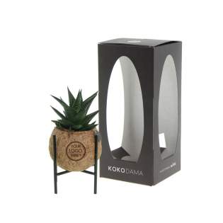 De Kokodama®, een botanische schoonheid die geen plastic bevat en voor 99% natuurlijk en 100% biologisch afbreekbaar is, biedt een unieke en duurzame optie voor relatiegeschenken. Haar bol van kokosvezels creëert een gezellig en duurzaam huis voor trendy en bijzondere planten. Hangend aan het plafond of zittend op een tafel bureau, de Kokodama® kan in elk interieur haar natuurlijke habitat vinden. Gemaakt met de hand in Sri Lanka, draagt de Kokodama® bij aan de lokale economie en stimuleert het vakmanschap. Deze Kokodama® mix bevat verschillende soorten vetplanten, waardoor hij lang meegaat en zelfs voor mensen zonder groene vingers heel gemakkelijk te verzorgen is. <br /><br />Naast het unieke uiterlijk van de Kokodama®, biedt dit product een uitstekende mogelijkheid tot personalisatie met een logo of slogan. Hierdoor wordt het meer dan alleen een decoratief object; het fungeert als een subtiel middel om jouw bedrijf of merk te promoten, of om simpelweg een boodschap over te brengen. Op deze manier bouw je een positieve associatie op met jouw bedrijf of merk, terwijl de Kokodama® op de bureaus van relaties of medewerkers prijkt. De Kokodama® wordt nog leuker om te geven én te ontvangen dankzij de passende FSC geschenkverpakking. Door dit geschenk te geven, toon je niet enkel waardering, maar versterk je ook relaties en betrokkenheid, terwijl je tegelijkertijd een positieve impact hebt op het imago van jouw bedrijf. <br /><br />Heeft u vragen over dit product, de gewenste personalisatie of eventuele verpakkingen? Neem dan gerust contact met ons op. De Kokodama®, een botanische schoonheid die geen plastic bevat en voor 99% natuurlijk en 100% biologisch afbreekbaar is, biedt een unieke en duurzame optie voor relatiegeschenken. Haar bol van kokosvezels creëert een gezellig en duurzaam huis voor trendy en bijzondere planten. Hangend aan het plafond of zittend op een tafel bureau, de Kokodama® kan in elk interieur haar natuurlijke habitat vinden. Gemaakt met de hand in Sri Lanka, draagt de Kokodama® bij aan de lokale economie en stimuleert het vakmanschap. Deze Kokodama® mix bevat verschillende soorten vetplanten, waardoor hij lang meegaat en zelfs voor mensen zonder groene vingers heel gemakkelijk te verzorgen is. <br /><br />Naast het unieke uiterlijk van de Kokodama®, biedt dit product een uitstekende mogelijkheid tot personalisatie met een logo of slogan. Hierdoor wordt het meer dan alleen een decoratief object; het fungeert als een subtiel middel om jouw bedrijf of merk te promoten, of om simpelweg een boodschap over te brengen. Op deze manier bouw je een positieve associatie op met jouw bedrijf of merk, terwijl de Kokodama® op de bureaus van relaties of medewerkers prijkt. De Kokodama® wordt nog leuker om te geven én te ontvangen dankzij de passende FSC geschenkverpakking. Door dit geschenk te geven, toon je niet enkel waardering, maar versterk je ook relaties en betrokkenheid, terwijl je tegelijkertijd een positieve impact hebt op het imago van jouw bedrijf. <br /><br />Heeft u vragen over dit product, de gewenste personalisatie of eventuele verpakkingen? Neem dan gerust contact met ons op.