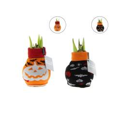Ces No Water Flowers® vivants sont connus pour leurs bulbes d'Amaryllis en cire faits à la main et uniques. Ces bulbes d'Amaryllis spécialement sélectionnés et testés ont suffisamment d'énergie pour pousser et fleurir sans eau. Les No Water Flowers® authentiques produisent des tiges de fleurs relativement courtes, ne se renversent pas et fleurissent à coup sûr. Chaque bulbe d'Amaryllis est d'abord soigneusement nettoyé puis parfaitement ciré. Ces No Water Flowers® de la ligne Fashionz sont habillés avec un mélange de chaussettes à motifs animaux, qui sont très distinctifs.<br /><br />Les No Water Flowers® peuvent être emballés dans une boîte cadeau certifiée FSC assortie, ce qui les rend encore plus amusants à offrir. Cette boîte cadeau peut également être personnalisée avec une carte de soutien entièrement à votre style. De cette manière, vous pouvez transmettre votre message de Noël, votre identité d'entreprise ou votre message de manière optimale. Il s'agit d'une carte séparée qui s'insère parfaitement dans la boîte cadeau, mais qui peut également être retirée après utilisation.<br /><br />Tous les No Water Flowers® sont équipés d'un support en métal, permettant de placer l'Amaryllis en cire en toute sécurité et de le maintenir stable. Les No Water Flowers® originaux sont facilement reconnaissables grâce à l'étiquette carrée attachée au bulbe. Ces bulbes d'Amaryllis ne nécessitent aucun soin. Placez l'Amaryllis en cire dans un endroit lumineux, mais pas en plein soleil, et profitez des magnifiques fleurs qui se développent en 3 à 5 semaines. Les bulbes de fleurs sont des produits naturels, chaque bulbe est unique et a une forme différente.<br /><br />Les No Water Flowers® sont disponibles uniquement de septembre à février. <br />Si vous avez des questions sur ce produit, la personnalisation souhaitée ou les emballages éventuels, n'hésitez pas à nous contacter.
