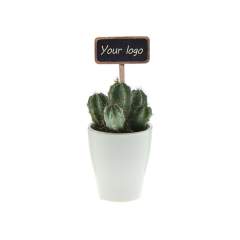 How cool are these desk plants, combined with an inserted ChalkNotes® plant marker that can be fully customized? ChalkNotes® are recognizable plant markers, but with your own logo, message, or name on them. The personalization is long-lasting – what’s printed stays put. They add a unique accent to our compact, sustainable plants and make every green gift that little bit more personal.<br /><br />The chalkboard-style marker turns each plant into not only a stylish gift but also a lasting memory and a powerful means of communication. These mini plants bring atmosphere, freshness, and life to any space. Thanks to their compact size, they fit perfectly on desks, counters, or windowsills. They require little care but offer months of enjoyment. Think air purification, reduced stress, and improved focus — small in size, big in impact.<br /><br />Delivered loose or beautifully packed in a matching gift box: with ChalkNotes®, you create a green gift that gets noticed — and remembered.<br /><br />Do you have any questions about this product, desired personalization, or packaging options? Feel free to contact us.