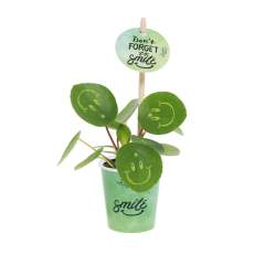 Mit dieser lebenden Pflanze zaubern Sie ein Lächeln auf die Gesichter Ihrer Kunden, strahlen Positivität aus und bringen Leben ins Büro. Die trendige Pfannkuchenpflanze wurde in die Smylieplant® verwandelt, die jeden glücklich macht. Die Pilea peperomioides, besser bekannt als Pfannkuchenpflanze, ist wieder voll im Trend. Diese bekannte Pflanze hat 3 Smileys, was ihr ein einzigartiges Aussehen verleiht. Sie wird auch als ideale Schreibtischpflanze bezeichnet, da sowohl Pflanzen als auch Lachen gut für die Gesundheit sind. Wenn diese Pflanze genügend Wasser und Licht erhält, kann sie sehr lange halten. Die Smileys und Logos bleiben auf der Pflanze, es sei denn, das Blatt, auf dem sie sich befinden, fällt ab. Dies ist ein normales Phänomen bei Pflanzen, kann aber eine Weile dauern.<br /><br />Natürlich ist es möglich, die Smylieplant® mit Ihrem Logo oder Design zu personalisieren. Dank unserer speziellen Techniken hat das Anbringen der Smileys oder Logos keinen Einfluss auf die Lebensdauer der Pflanze. So können Sie Ihr Logo, Ihren Slogan oder Ihre Botschaft auf einem oder allen Blättern der Smylieplant® zur Geltung bringen und hinterlassen einen einzigartigen Eindruck. Außerdem bieten wir die Möglichkeit, das Pflanzenetikett zu personalisieren, den Blumentopf zu bedrucken oder eine personalisierte Karte beizulegen. Wenn Sie wirklich ein Lächeln auf das Gesicht eines Menschen zaubern und Positivität ausstrahlen möchten, ist die Smylieplant® das perfekte Geschenk.<br /><br />Dieses Produkt ist immer in einer schützenden transparenten Pflanzenhülle verpackt, auch wenn es in einer Geschenkbox verpackt ist. Wir tun dies, um die Pflanze vor möglichen Schäden zu schützen. Wenn Sie Fragen zu diesem Produkt, der gewünschten Personalisierung oder zu Verpackungsoptionen haben, zögern Sie nicht, uns zu kontaktieren.