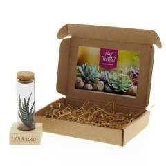 Tiny Treasurez® sind lebende Mini-Sukkulenten, wie Schätze der Natur. Diese wunderschönen grünen Dekorationen repräsentieren kleine Entdeckungen von Mutter Natur und kommen in verschiedenen Arten. Alle unsere Tiny Treasurez® sind einzigartig und erfordern wenig Pflege, was natürlich ideal ist. Sie können sehr langsam Wurzeln bilden, eine Illustration ihres natürlichen Überlebensinstinkts. Tiny Treasurez® haben genug Feuchtigkeitsreserven in ihren Blättern, um monatelang trockene Bedingungen zu überstehen. Sie symbolisieren auch Wachstum, Leben und Nachhaltigkeit. Wenn Sie diese Sukkulenten zu einem späteren Zeitpunkt weiter wachsen lassen möchten, legen Sie sie vorsichtig mit der Unterseite in einen Topf mit leicht trockener Blumenerde.<br /><br />Der FSC-zertifizierte Holzständer hält ein Glasröhrchen, das mit Sand und Mini-Sukkulenten gefüllt ist. Der Halter kann mit Ihrem Logo, Slogan oder Ihrer Botschaft personalisiert werden. Das Ganze ist schön in einer Schachtel verpackt. Diese Kombination aus Glas, Holz und Tiny Treasurez® ist ein luxuriöses und auffälliges Item für beispielsweise den Schreibtisch. Auf der Karte steht die Geschichte hinter Tiny Treasurez®, damit der Empfänger weiß, welches einzigartige Geschenk er erhält. Die lebende Pflanze bleibt lange im Blickfeld des Empfängers, da sie nicht einfach in einem Schrank oder Mülleimer landet. Personalisieren Sie sie mit einer Botschaft auf dem Produkt oder mit einer Karte für einen bleibenden Eindruck. Bringen Sie etwas zusätzliche grüne Dekoration in Ihr Zuhause mit unseren Tiny Treasurez®.<br /><br />Haben Sie Fragen zu diesem Produkt, zur gewünschten Personalisierung oder möglichen Verpackungsoptionen? Zögern Sie nicht, uns zu kontaktieren.