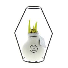 How cool is it to give a luxurious, growing, and blooming gift for once? Allow us to introduce you to our living No Water Flowers®, known for their unique handmade wax Amaryllis bulbs. These specially selected and tested Amaryllis bulbs have enough e...
