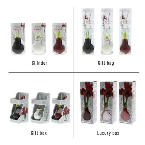 No Water Flowers® zijn een luxe, groeiend en bloeiend geschenk. De levende No Water Flowers® staan bekend om de unieke handgemaakte wax amaryllisbollen. Deze speciaal geselecteerde en geteste amaryllisbollen hebben genoeg energie om zonder water te groeien en te bloeien. Authentieke No Water Flowers® geven vrij korte bloemstelen, vallen niet om en bloeien gegarandeerd. Iedere No Water Flowers® wordt zorgvuldig schoongemaakt en tot in perfectie gewaxt. Dit geeft de bloembol een eigentijdse en modieuze uitstraling. <br /><br />Met het plaatsen van jouw logo of slogan op de No Water Flowers® zul je bij vele relaties opvallen. Dit prachtige geschenk zal niet onopgemerkt in een kast belanden; integendeel, het zal een mooi plekje krijgen op tafel of het bureau van de ontvanger, waar het bijdraagt aan de bekendheid van jouw merk. Het geven van deze gepersonaliseerde No Water Flowers® versterkt het gevoel van verbondenheid en waardering met jouw bedrijf. Daarnaast kun je de verpakking nog verder personaliseren door een gepersonaliseerde full-color achterkaart toe te voegen, waardoor je jouw boodschap nog duidelijker kunt overbrengen. De No Water Flowers® zijn het meest unieke groeiende en bloeiende geschenk, perfect om te geven en te ontvangen. <br /><br />Alle No Water Flowers® zijn voorzien van een metalen steun waardoor de wax amaryllis neergezet kan worden en deze altijd stabiel blijft staan. De Originele No Water Flowers® zijn makkelijk te herkennen aan het vierkante label die aan de bol bevestigd is. Deze amaryllisbollen hebben geen verzorging nodig. Zet de wax amaryllis op een lichte plek, maar niet in direct zonlicht en geniet van de prachtige bloemen die zich binnen 3 tot 5 weken ontwikkelen. Bloembollen zijn natuurproducten, elke bol is uniek op zichzelf en heeft een andere vorm. <br /><br />De No Water Flowers® zijn alleen beschikbaar van september tot en met februari. <br />Heeft u vragen over dit product, de gewenste personalisatie of eventuele verpakkingen? Neem dan gerust contact met ons op.