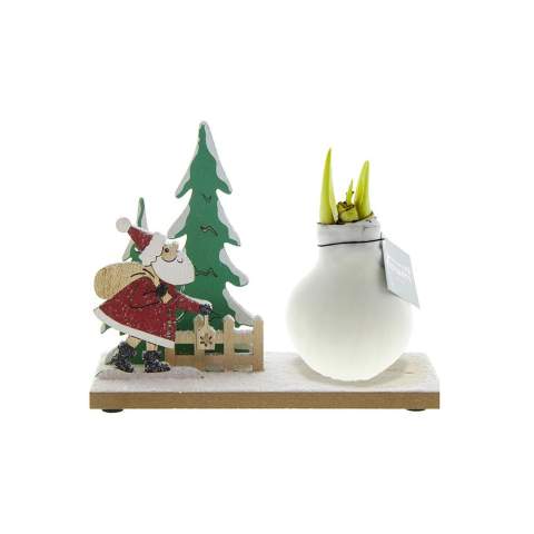 No Water Flowers® are a luxurious, growing and blooming gift. The living No Water Flowers® are known for their unique handmade wax Amaryllis bulbs. These specially selected and tested Amaryllis bulbs have enough energy to grow and bloom without water. Authentic No Water Flowers® have relatively short flower stems, do not topple over, and guarantee blooming. Each No Water Flowers® is carefully cleaned and perfectly waxed, giving the flower bulb a contemporary and fashionable appearance. These No Water Flowers® are placed on a wooden stand that is entirely in the Christmas spirit. They are delivered in a mix of the 3 wooden stands as shown in the picture. Get completely into the Christmas spirit with the No Water Flowers® Winter Wonderland.<br /><br />By placing your logo or slogan on the No Water Flowers®, you will catch the attention of many relationships. Additionally, there is the option to attach a personalized card to the wooden stand, creating a cool mini landscape. This exquisite gift will not end up unnoticed in a cabinet; on the contrary, it will find a beautiful spot on the table or desk of the recipient, where it contributes to brand recognition. Giving these personalized No Water Flowers® fosters a sense of connection and appreciation with your company. Additionally, by including a personalized full-color card in the gift box, you have the opportunity to convey the message behind this gift even more clearly.<br /><br />The Original No Water Flowers® can be easily identified by the square label attached to the bulb. These Amaryllis bulbs require no care. Place the wax Amaryllis in a bright location, but not in direct sunlight, and enjoy the beautiful flowers that will develop within 3 to 5 weeks. Flower bulbs are products from nature, each bulb is unique in itself and has a different shape. <br /><br />No Water Flowers® are available only from September to February. <br />If you have any questions about this product, desired personalization, or packaging options, please feel free to contact us.