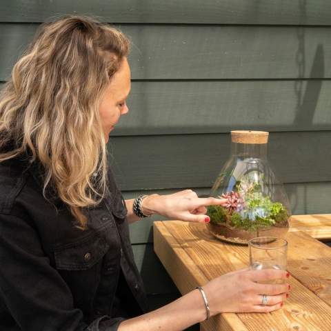 Wählen Sie ein einzigartiges und personalisiertes Pflanzenterrarium mit Ihrem Logo als hochwertiges Werbegeschenk, an dem der Empfänger lange Freude haben wird. Dieses luxuriöse Terrarium verfügt über einen wiederaufladbaren LED-Korken, der einfach über einen USB-C-Anschluss aufgeladen werden kann und eine nachhaltige Lösung bietet. Unsere Wardians®-Ecosysteme enthalten wunderschöne lebende Pflanzen in einem Glasterrarium, das mit einem Korken verschlossen ist. Ein solches Terrarium bildet ein selbstregulierendes Mini-Biotop, in dem lebende Organismen zusammenarbeiten, um alle Ressourcen zu recyceln. Die Pflanzen gedeihen dadurch ganz ohne externe Pflege. So hat der Empfänger dieses grünen Geschenks lange Freude – bei minimalem Aufwand.<br /><br />Diese Ecosysteme sind inspiriert von der ursprünglichen Wardian Case, einer innovativen Erfindung von Nathaniel Bagshaw Ward aus dem 19. Jahrhundert. Wards Idee, ein großes Ecosystem auf einem Schiff zu schaffen, wurde entwickelt, um Pflanzen während langer Seereisen zu schützen. Dank des selbstregulierenden Systems überlebten die Pflanzen die Reise. Unsere Wardians®-Pflanzenterrarien führen diese Tradition fort und verbinden historische Eleganz mit moderner Funktionalität. Genießen Sie zeitlose Schönheit und praktischen Nutzen – inspiriert von Wards bemerkenswerter Erfindung.<br /><br />Ecosysteme symbolisieren Wachstum, Ausgewogenheit und Zusammenarbeit. Ein Wardians®-Terrarium bringt nicht nur Atmosphäre ins Zuhause oder Büro, sondern erhält durch Personalisierung auch eine funktionale Dimension. Durch das Bedrucken des Korkens oder des Hängeetiketts mit Ihrem Logo, Slogan oder einer Botschaft bleibt Ihre Marke auf originelle und nachhaltige Weise im Gedächtnis.<br /><br />Die hochwertige und schützende Geschenkverpackung rundet das Geschenk perfekt ab und sorgt für ein unvergessliches Unboxing-Erlebnis – für den Schenkenden ebenso wie für den Beschenkten.<br /><br />Haben Sie Fragen zu diesem Produkt, zur gewünschten Personalisierung oder zu den Verpackungsmöglichkeiten? Kontaktieren Sie uns gerne.