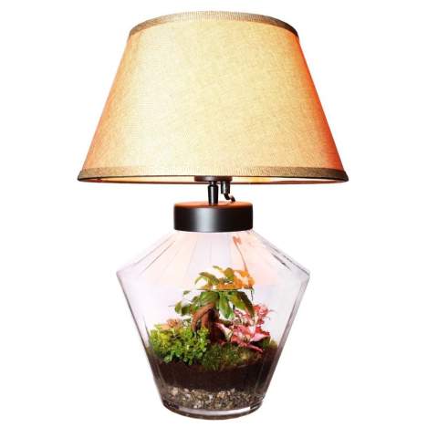 Choose a unique and personalized plant terrarium with your logo as a corporate gift that the recipient will enjoy for a long time. This luxurious and exclusive design combines a green plant terrarium with a functional lamp that you can easily connect and operate. This eye-catcher is not only unique but also multifunctional. Our Wardians® ecosystems contain beautiful live plants in a glass terrarium, sealed with a cork. A plant terrarium creates a self-regulating mini-biotope in which living organisms work together to recycle everything. This allows the plants to thrive without external care. As a result, the recipient of this green gift enjoys it for a long time with minimal maintenance.<br /><br />These ecosystems are inspired by the original Wardian case, an innovative invention by Nathaniel Bagshaw Ward from the 19th century. Ward’s idea of creating a large ecosystem on a ship was originally designed to protect plants during long sea voyages. Thanks to this invention, the plants could survive the journey due to the self-regulating system created onboard. Our Wardians® plant terrariums continue this tradition by combining historical elegance with modern functionality. Enjoy the timeless beauty and practical benefits, inspired by Ward’s remarkable innovation.<br /><br />Ecosystems are symbols of growth, balance, and collaboration. A Wardians® terrarium not only adds atmosphere to any interior or office, but also gains a functional aspect through personalization. By printing your logo, slogan, or message on the cork or hangtag, your brand remains top of mind in a green and original way.<br /><br />The luxurious and protective gift box completes the experience, ensuring an impressive unboxing moment – for both the giver and the recipient.<br /><br />Do you have any questions about this product, the desired personalization, or packaging options? Feel free to contact us.
