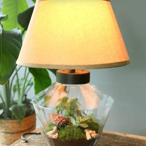 Choose a unique and personalized plant terrarium with your logo as a corporate gift that the recipient will enjoy for a long time. This luxurious and exclusive design combines a green plant terrarium with a functional lamp that you can easily connect and operate. This eye-catcher is not only unique but also multifunctional. Our Wardians® ecosystems contain beautiful live plants in a glass terrarium, sealed with a cork. A plant terrarium creates a self-regulating mini-biotope in which living organisms work together to recycle everything. This allows the plants to thrive without external care. As a result, the recipient of this green gift enjoys it for a long time with minimal maintenance.<br /><br />These ecosystems are inspired by the original Wardian case, an innovative invention by Nathaniel Bagshaw Ward from the 19th century. Ward’s idea of creating a large ecosystem on a ship was originally designed to protect plants during long sea voyages. Thanks to this invention, the plants could survive the journey due to the self-regulating system created onboard. Our Wardians® plant terrariums continue this tradition by combining historical elegance with modern functionality. Enjoy the timeless beauty and practical benefits, inspired by Ward’s remarkable innovation.<br /><br />Ecosystems are symbols of growth, balance, and collaboration. A Wardians® terrarium not only adds atmosphere to any interior or office, but also gains a functional aspect through personalization. By printing your logo, slogan, or message on the cork or hangtag, your brand remains top of mind in a green and original way.<br /><br />The luxurious and protective gift box completes the experience, ensuring an impressive unboxing moment – for both the giver and the recipient.<br /><br />Do you have any questions about this product, the desired personalization, or packaging options? Feel free to contact us.