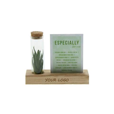 Tiny Treasurez® zijn levende mini-succulenten, als schatten uit de natuur. Deze prachtige groene decoraties vertegenwoordigen kleine ontdekkingen van moeder natuur en komen in verschillende soorten. Alle onze Tiny Treasurez® zijn uniek op zichzelf en hebben weinig onderhoud nodig, wat natuurlijk ideaal is. Ze kunnen heel langzaam wortels creëren, een illustratie van hun natuurlijke overlevingsdrang. Tiny Treasurez® hebben voldoende vochtreserves in hun blad om maandenlang droog te overleven. Ze symboliseren ook wel groei, leven en duurzaamheid. Wil je deze succulenten in een later stadium verder laten groeien, leg ze dan met de onderzijde voorzichtig in een potje gevuld met enigszins droge potgrond.<br /><br />Het FSC-gecertificeerde houten standaardje dient als houder voor de glazen tube, die gevuld is met wat zand en de minisucculenten. De houder kan worden gepersonaliseerd met jouw logo, slogan of boodschap. Het totaal is fraai verpakt in een doosje. Deze combinatie van glas, hout en de Tiny Treasurez® is een luxe en opvallend item voor bijvoorbeeld op het bureau. Op het kaartje staat het verhaal achter de Tiny Treasurez®, zodat ook de ontvanger weet wat voor unieks hij of zij ontvangt. Het levende plantje blijft lang in beeld bij de ontvanger, omdat het niet zomaar in een kast of prullenbak verdwijnt. Personaliseer ze met een boodschap op het product of door middel van een kaartje voor een blijvende indruk. Breng wat extra groene decoratie in huis met onze Tiny Treasurez®.<br /><br />Heeft u vragen over dit product, de gewenste personalisatie of eventuele verpakkingen? Neem dan gerust contact met ons op.