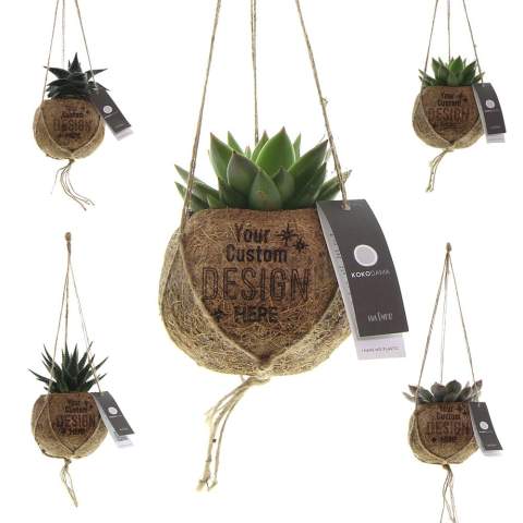 The Kokodama®, a botanical beauty that contains no plastic and is 99% natural and 100% biodegradable, offers a unique and sustainable option for corporate gifts. Its coconut fiber sphere creates a cozy and eco-friendly home for trendy and special plants. Hanging from the ceiling, placed on a table, or standing on the ground, the Kokodama® can find its natural habitat in any interior. Handcrafted in Sri Lanka, the Kokodama® contributes to the local economy and promotes craftsmanship. This Kokodama® mix contains various types of succulents, making it long-lasting and very easy to care for even for people without green thumbs.<br /><br />In addition to the Kokodama®'s distinctive appearance, this product provides an excellent opportunity for personalization with a logo or slogan. This makes it more than just a decorative object; it serves as a subtle means to promote your company or brand, or simply convey a message. In this way, you build a positive association with your company or brand as the Kokodama® graces the desks of associates or employees. The Kokodama® becomes even more delightful to give and receive thanks to the suitable gift packaging. By presenting this gift, you not only express appreciation, but also strengthen relationships and engagement, all while having a positive impact on your company's image.<br /><br />If you have any questions about this product, desired personalization, or packaging options, please feel free to contact us.