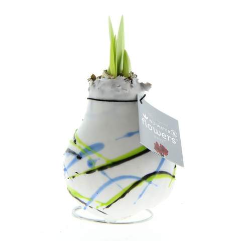 How cool is it to give a luxurious, growing, and blooming gift for once? Allow us to introduce you to our living No Water Flowers®, known for their unique handmade wax Amaryllis bulbs. These specially selected and tested Amaryllis bulbs have enough energy to grow and bloom without water. Authentic No Water Flowers® have relatively short flower stems, they don't topple over, and their blooming is guaranteed. Each No Water Flowers® is carefully cleaned and meticulously waxed to perfection. The Original No Water Flowers® are easily recognizable by the square label attached to the bulb. The No Water Flowers® are the perfect Christmas gift.<br /><br />The well-known No Water Flowers® art version can now also be decorated in multiple colors according to your preferences, allowing you to personalize the amaryllis bulb even more. This way, you can fully reflect your brand identity. It is important to check with us to see if your desired color combination is possible. This splendid gift won't go unnoticed in a closet; on the contrary, it will find a beautiful spot on the table or the recipient's desk, contributing to your brand's recognition. Offering these personalized No Water Flowers® enhances the sense of connection and appreciation with your company. The No Water Flowers® can be packaged in a matching FSC-certified gift box, making them extra fun to give away. This gift box can also be personalized with a backing card entirely in your style. This way, you can convey your Christmas greeting, corporate identity, or message extra well. This is a separate card that fits perfectly into the gift box, but can also be removed after use.<br /><br />These Amaryllis bulbs require no care. Place the wax Amaryllis in a bright location, but not in direct sunlight, and enjoy the beautiful flowers that will develop within 3 to 5 weeks. Flower bulbs are products from nature, each bulb is unique in itself and has a different shape. <br /><br />No Water Flowers® are available only from September to February. <br />If you have any questions about this product, desired personalization, or packaging options, please feel free to contact us.