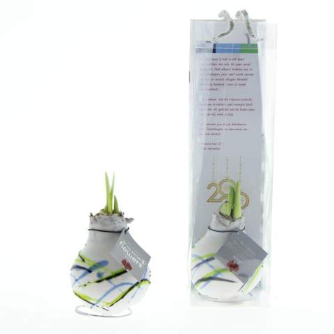 How cool is it to give a luxurious, growing, and blooming gift for once? Allow us to introduce you to our living No Water Flowers®, known for their unique handmade wax Amaryllis bulbs. These specially selected and tested Amaryllis bulbs have enough energy to grow and bloom without water. Authentic No Water Flowers® have relatively short flower stems, they don't topple over, and their blooming is guaranteed. Each No Water Flowers® is carefully cleaned and meticulously waxed to perfection. The Original No Water Flowers® are easily recognizable by the square label attached to the bulb. The No Water Flowers® are the perfect Christmas gift.<br /><br />The well-known No Water Flowers® art version can now also be decorated in multiple colors according to your preferences, allowing you to personalize the amaryllis bulb even more. This way, you can fully reflect your brand identity. It is important to check with us to see if your desired color combination is possible. This splendid gift won't go unnoticed in a closet; on the contrary, it will find a beautiful spot on the table or the recipient's desk, contributing to your brand's recognition. Offering these personalized No Water Flowers® enhances the sense of connection and appreciation with your company. The No Water Flowers® can be packaged in a matching FSC-certified gift box, making them extra fun to give away. This gift box can also be personalized with a backing card entirely in your style. This way, you can convey your Christmas greeting, corporate identity, or message extra well. This is a separate card that fits perfectly into the gift box, but can also be removed after use.<br /><br />These Amaryllis bulbs require no care. Place the wax Amaryllis in a bright location, but not in direct sunlight, and enjoy the beautiful flowers that will develop within 3 to 5 weeks. Flower bulbs are products from nature, each bulb is unique in itself and has a different shape. <br /><br />No Water Flowers® are available only from September to February. <br />If you have any questions about this product, desired personalization, or packaging options, please feel free to contact us.