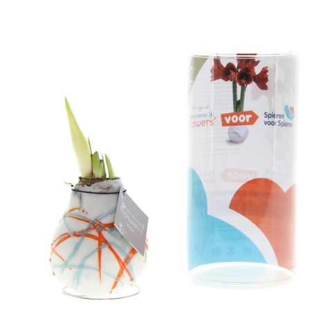 How cool is it to give a luxurious, growing, and blooming gift for once? Allow us to introduce you to our living No Water Flowers®, known for their unique handmade wax Amaryllis bulbs. These specially selected and tested Amaryllis bulbs have enough energy to grow and bloom without water. Authentic No Water Flowers® have relatively short flower stems, they don't topple over, and their blooming is guaranteed. Each No Water Flowers® is carefully cleaned and meticulously waxed to perfection. The Original No Water Flowers® are easily recognizable by the square label attached to the bulb. The No Water Flowers® are the perfect Christmas gift.<br /><br />The well-known No Water Flowers® art version can now also be decorated in multiple colors according to your preferences, allowing you to personalize the amaryllis bulb even more. This way, you can fully reflect your brand identity. It is important to check with us to see if your desired color combination is possible. This splendid gift won't go unnoticed in a closet; on the contrary, it will find a beautiful spot on the table or the recipient's desk, contributing to your brand's recognition. Offering these personalized No Water Flowers® enhances the sense of connection and appreciation with your company. The No Water Flowers® can be packaged in a matching FSC-certified gift box, making them extra fun to give away. This gift box can also be personalized with a backing card entirely in your style. This way, you can convey your Christmas greeting, corporate identity, or message extra well. This is a separate card that fits perfectly into the gift box, but can also be removed after use.<br /><br />These Amaryllis bulbs require no care. Place the wax Amaryllis in a bright location, but not in direct sunlight, and enjoy the beautiful flowers that will develop within 3 to 5 weeks. Flower bulbs are products from nature, each bulb is unique in itself and has a different shape. <br /><br />No Water Flowers® are available only from September to February. <br />If you have any questions about this product, desired personalization, or packaging options, please feel free to contact us.