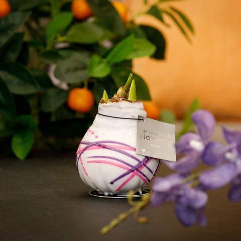 How cool is it to give a luxurious, growing, and blooming gift for once? Allow us to introduce you to our living No Water Flowers®, known for their unique handmade wax Amaryllis bulbs. These specially selected and tested Amaryllis bulbs have enough energy to grow and bloom without water. Authentic No Water Flowers® have relatively short flower stems, they don't topple over, and their blooming is guaranteed. Each No Water Flowers® is carefully cleaned and meticulously waxed to perfection. The Original No Water Flowers® are easily recognizable by the square label attached to the bulb. The No Water Flowers® are the perfect Christmas gift.<br /><br />The well-known No Water Flowers® art version can now also be decorated in multiple colors according to your preferences, allowing you to personalize the amaryllis bulb even more. This way, you can fully reflect your brand identity. It is important to check with us to see if your desired color combination is possible. This splendid gift won't go unnoticed in a closet; on the contrary, it will find a beautiful spot on the table or the recipient's desk, contributing to your brand's recognition. Offering these personalized No Water Flowers® enhances the sense of connection and appreciation with your company. The No Water Flowers® can be packaged in a matching FSC-certified gift box, making them extra fun to give away. This gift box can also be personalized with a backing card entirely in your style. This way, you can convey your Christmas greeting, corporate identity, or message extra well. This is a separate card that fits perfectly into the gift box, but can also be removed after use.<br /><br />These Amaryllis bulbs require no care. Place the wax Amaryllis in a bright location, but not in direct sunlight, and enjoy the beautiful flowers that will develop within 3 to 5 weeks. Flower bulbs are products from nature, each bulb is unique in itself and has a different shape. <br /><br />No Water Flowers® are available only from September to February. <br />If you have any questions about this product, desired personalization, or packaging options, please feel free to contact us.