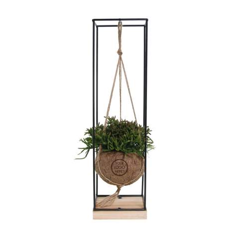 De Kokodama®, een botanische schoonheid die geen plastic bevat en voor 99% natuurlijk en 100% biologisch afbreekbaar is, biedt een unieke en duurzame optie voor relatiegeschenken. Haar bol van kokosvezels creëert een gezellig en duurzaam huis voor trendy en bijzondere planten. Hangend aan het plafond of zittend op een tafel bureau, de Kokodama® kan in elk interieur haar natuurlijke habitat vinden. Gemaakt met de hand in Sri Lanka, draagt de Kokodama® bij aan de lokale economie en stimuleert het vakmanschap. Deze Kokodama® variant bevat planten die lang meegaan.<br /><br />Naast het unieke uiterlijk van de Kokodama®, biedt dit product een uitstekende mogelijkheid tot personalisatie met een logo of slogan. Hierdoor wordt het meer dan alleen een decoratief object; het fungeert als een subtiel middel om jouw bedrijf of merk te promoten, of om simpelweg een boodschap over te brengen. Op deze manier bouw je een positieve associatie op met jouw bedrijf of merk, terwijl de Kokodama® op de bureaus van relaties of medewerkers prijkt. Door dit geschenk te geven, toon je niet enkel waardering, maar versterk je ook relaties en betrokkenheid, terwijl je tegelijkertijd een positieve impact hebt op het imago van jouw bedrijf. <br /><br />Heeft u vragen over dit product, de gewenste personalisatie of eventuele verpakkingen? Neem dan gerust contact met ons op.