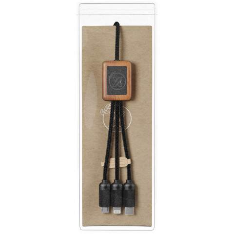 3-in-1 bamboo cable with 1 meter long wires and 3 connectors (type C, micro USB, iPhone). Can be decorated with a light-up logo on both sides. Delivered in a TPU pouch, with a kraft paper card. 
