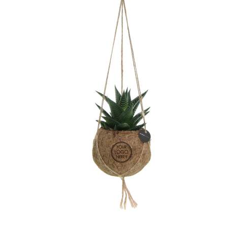 De Kokodama®, een botanische schoonheid die geen plastic bevat en voor 99% natuurlijk en 100% biologisch afbreekbaar is, biedt een unieke en duurzame optie voor relatiegeschenken. Haar bol van kokosvezels creëert een gezellig en duurzaam huis voor trendy en bijzondere planten. Hangend aan het plafond of zittend op een tafel bureau, de Kokodama® kan in elk interieur haar natuurlijke habitat vinden. Gemaakt met de hand in Sri Lanka, draagt de Kokodama® bij aan de lokale economie en stimuleert het vakmanschap. Deze Kokodama® mix bevat verschillende soorten vetplanten, waardoor hij lang meegaat en zelfs voor mensen zonder groene vingers heel gemakkelijk te verzorgen is. <br /><br />Naast het unieke uiterlijk van de Kokodama®, biedt dit product een uitstekende mogelijkheid tot personalisatie met een logo of slogan. Hierdoor wordt het meer dan alleen een decoratief object; het fungeert als een subtiel middel om jouw bedrijf of merk te promoten, of om simpelweg een boodschap over te brengen. Op deze manier bouw je een positieve associatie op met jouw bedrijf of merk, terwijl de Kokodama® op de bureaus van relaties of medewerkers prijkt. De Kokodama® wordt nog leuker om te geven én te ontvangen dankzij de passende FSC geschenkverpakking. Door dit geschenk te geven, toon je niet enkel waardering, maar versterk je ook relaties en betrokkenheid, terwijl je tegelijkertijd een positieve impact hebt op het imago van jouw bedrijf. <br /><br />Heeft u vragen over dit product, de gewenste personalisatie of eventuele verpakkingen? Neem dan gerust contact met ons op.