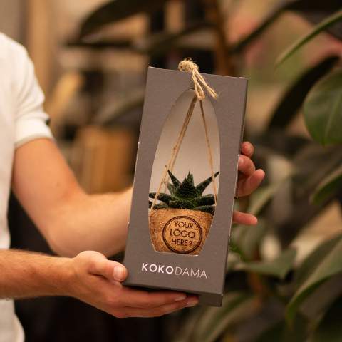 De Kokodama®, een botanische schoonheid die geen plastic bevat en voor 99% natuurlijk en 100% biologisch afbreekbaar is, biedt een unieke en duurzame optie voor relatiegeschenken. Haar bol van kokosvezels creëert een gezellig en duurzaam huis voor trendy en bijzondere planten. Hangend aan het plafond of zittend op een tafel bureau, de Kokodama® kan in elk interieur haar natuurlijke habitat vinden. Gemaakt met de hand in Sri Lanka, draagt de Kokodama® bij aan de lokale economie en stimuleert het vakmanschap. Deze Kokodama® mix bevat verschillende soorten vetplanten, waardoor hij lang meegaat en zelfs voor mensen zonder groene vingers heel gemakkelijk te verzorgen is. <br /><br />Naast het unieke uiterlijk van de Kokodama®, biedt dit product een uitstekende mogelijkheid tot personalisatie met een logo of slogan. Hierdoor wordt het meer dan alleen een decoratief object; het fungeert als een subtiel middel om jouw bedrijf of merk te promoten, of om simpelweg een boodschap over te brengen. Op deze manier bouw je een positieve associatie op met jouw bedrijf of merk, terwijl de Kokodama® op de bureaus van relaties of medewerkers prijkt. De Kokodama® wordt nog leuker om te geven én te ontvangen dankzij de passende FSC geschenkverpakking. Door dit geschenk te geven, toon je niet enkel waardering, maar versterk je ook relaties en betrokkenheid, terwijl je tegelijkertijd een positieve impact hebt op het imago van jouw bedrijf. <br /><br />Heeft u vragen over dit product, de gewenste personalisatie of eventuele verpakkingen? Neem dan gerust contact met ons op.