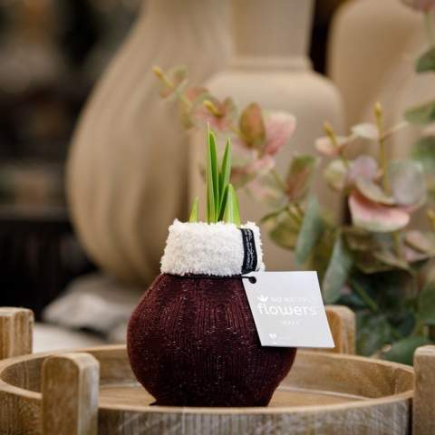 These living No Water Flowers® are known for their unique handmade wax Amaryllis bulbs. These specially selected and tested Amaryllis bulbs have enough energy to grow and bloom without water. Authentic No Water Flowers® produce relatively short flower stems, do not topple over, and are guaranteed to bloom. Each Amaryllis bulb is first carefully cleaned and then perfectly waxed. These No Water Flowers® from the Fashionz line are dressed with a mix of socks featuring animal prints, which are very distinctive.<br /><br />The No Water Flowers® can be packaged in a matching FSC-certified gift box, making them extra fun to give away. This gift box can also be personalized with a backing card entirely in your style. This way, you can convey your Christmas greeting, corporate identity, or message extra well. This is a separate card that fits perfectly into the gift box, but can also be removed after use.<br /><br />All No Water Flowers® come with a metal support, allowing the wax Amaryllis to be placed securely and remain stable. The Original No Water Flowers® are easily recognizable by the square label attached to the bulb. These Amaryllis bulbs require no care. Place the wax Amaryllis in a bright spot, but not in direct sunlight, and enjoy the beautiful flowers that develop within 3 to 5 weeks. Flower bulbs are natural products, each bulb is unique and has a different shape.<br /><br />No Water Flowers® are available only from September to February. <br />If you have any questions about this product, desired personalization, or packaging options, please feel free to contact us.
