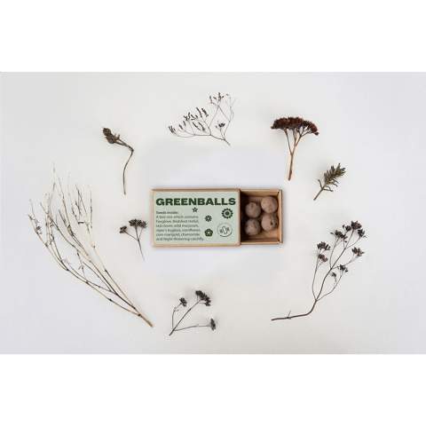 WoW! Ein Mini-Ökosystem, das die Samen vor Vögeln, Ameisen und Schnecken schützt und sie mit Nahrung versorgt, während sie keimen und wachsen.  Die Samen bestehen aus einer Mischung aus: Saat-Wucherblume, Vergissmeinnicht, Weiße Lichtnelke, Klatschmohn, Kornblume, Acker-Hundskamille und Wilder Majoran.   Zur Inspiration für den Anbau einheimischer Wildblumen in Gärten, auf Balkonen und in Blumenkästen. Mehr Blumen bedeuten mehr Bienen, Schmetterlinge und andere Wildtiere, die unsere Nahrungskette und unser Ökosystem unterstützen. Verpackt pro 6 Kugeln in einer Schachtel aus recyceltem Karton. Pro Set in einer Verpackung.