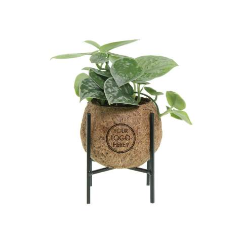 De Kokodama®, een botanische schoonheid die geen plastic bevat en voor 99% natuurlijk en 100% biologisch afbreekbaar is, biedt een unieke en duurzame optie voor relatiegeschenken. Haar bol van kokosvezels creëert een gezellig en duurzaam huis voor trendy en bijzondere planten. Hangend aan het plafond of zittend op een tafel bureau, de Kokodama® kan in elk interieur haar natuurlijke habitat vinden. Gemaakt met de hand in Sri Lanka, draagt de Kokodama® bij aan de lokale economie en stimuleert het vakmanschap. Deze Kokodama® mix bevat verschillende soorten groene planten welke met zorg zijn uitgekozen, deze levende planten vergen natuurlijk wel wat onderhoud. <br /><br />Naast het unieke uiterlijk van de Kokodama®, biedt dit product een uitstekende mogelijkheid tot personalisatie met een logo of slogan. Hierdoor wordt het meer dan alleen een decoratief object; het fungeert als een subtiel middel om jouw bedrijf of merk te promoten, of om simpelweg een boodschap over te brengen. Op deze manier bouw je een positieve associatie op met jouw bedrijf of merk, terwijl de Kokodama® op de bureaus van relaties of medewerkers prijkt. De Kokodama® wordt nog leuker om te geven én te ontvangen dankzij de passende FSC geschenkverpakking. Door dit geschenk te geven, toon je niet enkel waardering, maar versterk je ook relaties en betrokkenheid, terwijl je tegelijkertijd een positieve impact hebt op het imago van jouw bedrijf. <br /><br />Heeft u vragen over dit product, de gewenste personalisatie of eventuele verpakkingen? Neem dan gerust contact met ons op.