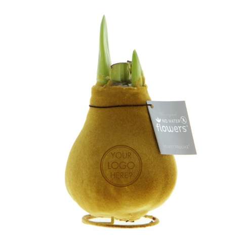 No Water Flowers® zijn een luxe, groeiend en bloeiend geschenk. Deze No Water Flowers Velvet Touchz®-variant heeft een fluwelen afwerking, waardoor de bol zacht aanvoelt en een luxueuze uitstraling krijgt. Deze speciaal geselecteerde en geteste amaryllisbollen hebben genoeg energie om zonder water te groeien en te bloeien. Authentieke No Water Flowers® geven vrij korte bloemstelen, vallen niet om en bloeien gegarandeerd. Iedere No Water Flowers® wordt zorgvuldig schoongemaakt en tot in perfectie gewaxt. Dit geeft de bloembol een eigentijdse en modieuze uitstraling. <br /><br />Je logo kan op een unieke en luxueuze manier in de Velvet Touchz-bol worden gedrukt, wat een verfijnd 3D-/reliëfeffect creëert. Bij metallic kleuren blijft de metallic glans zichtbaar, wat zorgt voor een ander effect dan bij niet-metallic kleuren. Daar komt juist een lichtere tint naar voren, wat weer een ander visueel resultaat geeft. Het geven van deze gepersonaliseerde No Water Flowers® versterkt het gevoel van verbondenheid en waardering met jouw bedrijf. Daarnaast kun je de verpakking nog verder personaliseren door een gepersonaliseerde full-color achterkaart toe te voegen, waardoor je jouw boodschap nog duidelijker kunt overbrengen. De No Water Flowers® zijn het meest unieke groeiende en bloeiende geschenk, perfect om te geven en te ontvangen. <br /><br />Alle No Water Flowers® zijn voorzien van een metalen steun waardoor de amaryllis neergezet kan worden en deze altijd stabiel blijft staan. De Originele No Water Flowers® zijn makkelijk te herkennen aan het vierkante label die aan de bol bevestigd is. Deze amaryllisbollen hebben geen verzorging nodig. Zet de amaryllis op een lichte plek, maar niet in direct zonlicht en geniet van de prachtige bloemen die zich binnen 3 tot 5 weken ontwikkelen. Bloembollen zijn natuurproducten, elke bol is uniek op zichzelf en heeft een andere vorm. <br /><br />De No Water Flowers® zijn alleen beschikbaar van september tot en met februari. <br />Heeft u vragen over dit product, de gewenste personalisatie of eventuele verpakkingen? Neem dan gerust contact met ons op.