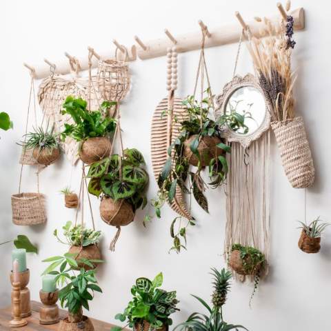 De Kokodama®, een botanische schoonheid die geen plastic bevat en voor 99% natuurlijk en 100% biologisch afbreekbaar is, biedt een unieke en duurzame optie voor relatiegeschenken. Haar bol van kokosvezels creëert een gezellig en duurzaam huis voor trendy en bijzondere planten. Hangend aan het plafond of zittend op een tafel bureau, de Kokodama® kan in elk interieur haar natuurlijke habitat vinden. Gemaakt met de hand in Sri Lanka, draagt de Kokodama® bij aan de lokale economie en stimuleert het vakmanschap. Deze Kokodama® mix bevat verschillende soorten vetplanten, waardoor hij lang meegaat en zelfs voor mensen zonder groene vingers heel gemakkelijk te verzorgen is. <br /><br />Naast het unieke uiterlijk van de Kokodama®, biedt dit product een uitstekende mogelijkheid tot personalisatie met een logo of slogan. Hierdoor wordt het meer dan alleen een decoratief object; het fungeert als een subtiel middel om jouw bedrijf of merk te promoten, of om simpelweg een boodschap over te brengen. Op deze manier bouw je een positieve associatie op met jouw bedrijf of merk, terwijl de Kokodama® op de bureaus van relaties of medewerkers prijkt. De Kokodama® wordt nog leuker om te geven én te ontvangen dankzij de passende FSC geschenkverpakking. Door dit geschenk te geven, toon je niet enkel waardering, maar versterk je ook relaties en betrokkenheid, terwijl je tegelijkertijd een positieve impact hebt op het imago van jouw bedrijf. <br /><br />Heeft u vragen over dit product, de gewenste personalisatie of eventuele verpakkingen? Neem dan gerust contact met ons op.