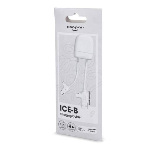Das Xoopar ICE-B bietet Alltagkomfort und Umweltbewusstsein. Mit dualen Eingängen (USB-A &amp; USB-C) und Ausgängen (USB-C &amp; Lightning) passt es fast für alle Geräte. 12 Watt Leistung sorgt für schnelles Laden, das grüne Charging Heart zeigt Schnellladung. Aus 74 % recyceltem Kunststoff.