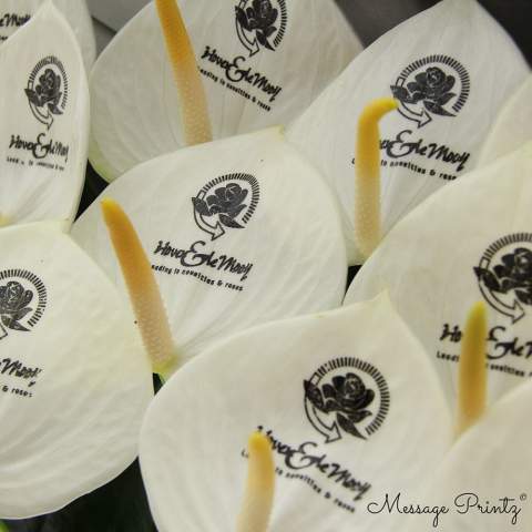 Laat jouw boodschap stralen met de luxe Message Printz® snijanthurium – een levende bloem die symbool staat voor liefde, geluk en welvaart. Dankzij de lange houdbaarheid blijft deze stijlvolle snijbloem, welke ook wel de Flamingobloem wordt genoemd, wekenlang mooi en zorgt zo voor een blijvende indruk. Personaliseer de bloem met jouw logo, slogan of boodschap zonder invloed op de levensduur. Het concept wordt afgemaakt met een bijpassend anthuriumblad in een trendy glaasje. Val op met een uniek en persoonlijk geschenk dat in het oog valt bij elke gelegenheid.<br /><br />Message Printz® – Zeg het met bloemen en planten.<br />Dit product is onderdeel van onze Message Printz® lijn. Dit zijn levende bloemen en planten, gepersonaliseerd met een boodschap of een logo, direct op het blad of de bloem. Dankzij innovatieve technieken heeft de opdruk geen invloed op de gezondheid of levensduur van de plant. De boodschap of het logo blijft duidelijk zichtbaar zolang de plant goed blijft en is niet zomaar uit te wissen. Elk item uit de Message Printz® lijn is herkenbaar aan het kleine envelopsymbool. Een unieke en blijvende manier om jouw boodschap, merk of waardering over te brengen.<br /><br />Heeft u vragen over dit product, de gewenste personalisatie of eventuele verpakkingen? Neem dan gerust contact met ons op.