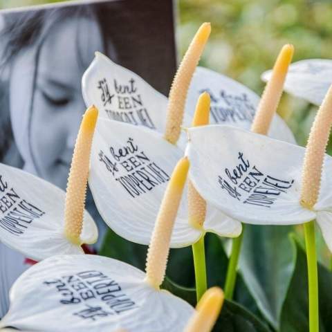 Laat jouw boodschap stralen met de luxe Message Printz® snijanthurium – een levende bloem die symbool staat voor liefde, geluk en welvaart. Dankzij de lange houdbaarheid blijft deze stijlvolle snijbloem, welke ook wel de Flamingobloem wordt genoemd, wekenlang mooi en zorgt zo voor een blijvende indruk. Personaliseer de bloem met jouw logo, slogan of boodschap zonder invloed op de levensduur. Het concept wordt afgemaakt met een bijpassend anthuriumblad in een trendy glaasje. Val op met een uniek en persoonlijk geschenk dat in het oog valt bij elke gelegenheid.<br /><br />Message Printz® – Zeg het met bloemen en planten.<br />Dit product is onderdeel van onze Message Printz® lijn. Dit zijn levende bloemen en planten, gepersonaliseerd met een boodschap of een logo, direct op het blad of de bloem. Dankzij innovatieve technieken heeft de opdruk geen invloed op de gezondheid of levensduur van de plant. De boodschap of het logo blijft duidelijk zichtbaar zolang de plant goed blijft en is niet zomaar uit te wissen. Elk item uit de Message Printz® lijn is herkenbaar aan het kleine envelopsymbool. Een unieke en blijvende manier om jouw boodschap, merk of waardering over te brengen.<br /><br />Heeft u vragen over dit product, de gewenste personalisatie of eventuele verpakkingen? Neem dan gerust contact met ons op.