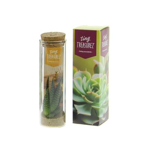Tiny Treasurez® are living mini-succulents, like treasures from nature. These beautiful green decorations represent small discoveries from Mother Nature and come in various types. All our Tiny Treasurez® are unique in themselves and require little maintenance, which is naturally ideal. They can very slowly create roots, an illustration of their natural survival instinct. Tiny Treasurez® have enough moisture reserves in their leaves to survive dry conditions for months. They also symbolize growth, life, and sustainability. If you want to let these succulents grow further at a later stage, place them carefully with the bottom side in a pot filled with slightly dry potting soil.<br /><br />The Tiny Treasurez® Message in a Bottle is filled with a layer of sand, seashells, an atmosphere card, and, of course, a mix of live mini succulents. This item is not only a charming addition to your desk or home but also perfect as a gift for events, themed days, or trade shows. The card includes the story behind Tiny Treasurez®, so the recipient knows what unique gift they are receiving. The living plant stays in sight for a long time with the recipient because it doesn't just end up in a cupboard or trash bin. Personalize them with a message on the product or with a card for a lasting impression. Bring some extra green decoration into your home with our Tiny Treasurez®.<br /><br />If you have any questions about this product, desired personalization, or packaging options, please feel free to contact us.
