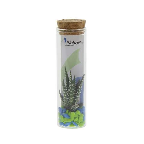 Tiny Treasurez® are living mini-succulents, like treasures from nature. These beautiful green decorations represent small discoveries from Mother Nature and come in various types. All our Tiny Treasurez® are unique in themselves and require little maintenance, which is naturally ideal. They can very slowly create roots, an illustration of their natural survival instinct. Tiny Treasurez® have enough moisture reserves in their leaves to survive dry conditions for months. They also symbolize growth, life, and sustainability. If you want to let these succulents grow further at a later stage, place them carefully with the bottom side in a pot filled with slightly dry potting soil.<br /><br />The Tiny Treasurez® Message in a Bottle is filled with a layer of sand, seashells, an atmosphere card, and, of course, a mix of live mini succulents. This item is not only a charming addition to your desk or home but also perfect as a gift for events, themed days, or trade shows. The card includes the story behind Tiny Treasurez®, so the recipient knows what unique gift they are receiving. The living plant stays in sight for a long time with the recipient because it doesn't just end up in a cupboard or trash bin. Personalize them with a message on the product or with a card for a lasting impression. Bring some extra green decoration into your home with our Tiny Treasurez®.<br /><br />If you have any questions about this product, desired personalization, or packaging options, please feel free to contact us.