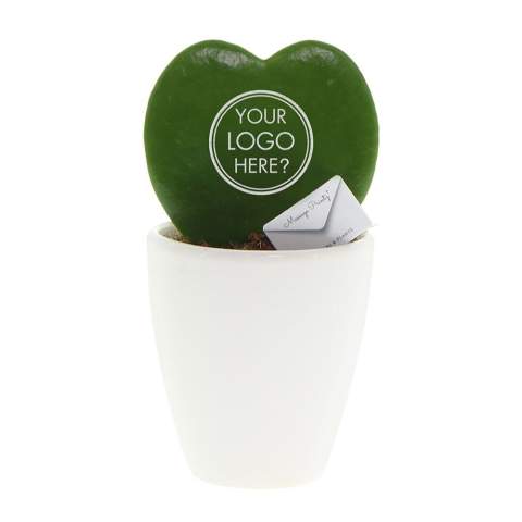 Een keer wat anders dan een standaard geschenk, maak dan kennis met deze unieke Message Printz® Hartjesplant. Deze levende plant welke ook wel een Hoya kerrii wordt genoemd is een populaire kamerplant vanwege zijn bijzondere bladvorm en symboliek. Het natuurlijke hartvormige blad van de Hartjesplant maakt het een symbool van liefde en geluk, en het wordt vaak als geschenk gegeven bij speciale gelegenheden. Deze plant staat ook bekend om zijn gemakkelijke onderhoud en langdurige levensduur, waardoor het een blijvende herinnering vormt.<br /><br />Deze levende plant is te bedrukken met jouw logo, slogan of boodschap wat het een bijzondere gift maakt. Door gebruik te maken van speciale technieken zorgen we dat het personaliseren van de planten geen impact heeft op hun levensduur. Door de hartjesplant te personaliseren, blijf je maanden tot jarenlang in beeld bij jouw relaties, en dat op een groene en positieve wijze. Het plantje kan verpakt worden in een luxe giftbox of in sierlijk cellofaan wat het weggeven extra leuk maakt. Verras jouw relaties eens met een unieke gepersonaliseerde hartjesplant en sta extra lang in beeld.<br /><br />Heeft u vragen over dit product, de gewenste personalisatie of eventuele verpakkingen? Neem dan gerust contact met ons op.