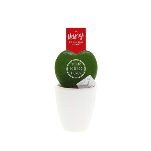 Een keer wat anders dan een standaard geschenk, maak dan kennis met deze unieke Message Printz® Hartjesplant. Deze levende plant welke ook wel een Hoya kerrii wordt genoemd is een populaire kamerplant vanwege zijn bijzondere bladvorm en symboliek. Het natuurlijke hartvormige blad van de Hartjesplant maakt het een symbool van liefde en geluk, en het wordt vaak als geschenk gegeven bij speciale gelegenheden. Deze plant staat ook bekend om zijn gemakkelijke onderhoud en langdurige levensduur, waardoor het een blijvende herinnering vormt.<br /><br />Deze levende plant is te bedrukken met jouw logo, slogan of boodschap wat het een bijzondere gift maakt. Door gebruik te maken van speciale technieken zorgen we dat het personaliseren van de planten geen impact heeft op hun levensduur. Door de hartjesplant te personaliseren, blijf je maanden tot jarenlang in beeld bij jouw relaties, en dat op een groene en positieve wijze. Het plantje kan verpakt worden in een luxe giftbox of in sierlijk cellofaan wat het weggeven extra leuk maakt. Verras jouw relaties eens met een unieke gepersonaliseerde hartjesplant en sta extra lang in beeld.<br /><br />Heeft u vragen over dit product, de gewenste personalisatie of eventuele verpakkingen? Neem dan gerust contact met ons op.