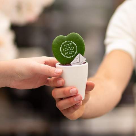 Een keer wat anders dan een standaard geschenk, maak dan kennis met deze unieke Message Printz® Hartjesplant. Deze levende plant welke ook wel een Hoya kerrii wordt genoemd is een populaire kamerplant vanwege zijn bijzondere bladvorm en symboliek. Het natuurlijke hartvormige blad van de Hartjesplant maakt het een symbool van liefde en geluk, en het wordt vaak als geschenk gegeven bij speciale gelegenheden. Deze plant staat ook bekend om zijn gemakkelijke onderhoud en langdurige levensduur, waardoor het een blijvende herinnering vormt.<br /><br />Deze levende plant is te bedrukken met jouw logo, slogan of boodschap wat het een bijzondere gift maakt. Door gebruik te maken van speciale technieken zorgen we dat het personaliseren van de planten geen impact heeft op hun levensduur. Door de hartjesplant te personaliseren, blijf je maanden tot jarenlang in beeld bij jouw relaties, en dat op een groene en positieve wijze. Het plantje kan verpakt worden in een luxe giftbox of in sierlijk cellofaan wat het weggeven extra leuk maakt. Verras jouw relaties eens met een unieke gepersonaliseerde hartjesplant en sta extra lang in beeld.<br /><br />Heeft u vragen over dit product, de gewenste personalisatie of eventuele verpakkingen? Neem dan gerust contact met ons op.
