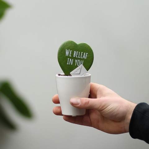 Een keer wat anders dan een standaard geschenk, maak dan kennis met deze unieke Message Printz® Hartjesplant. Deze levende plant welke ook wel een Hoya kerrii wordt genoemd is een populaire kamerplant vanwege zijn bijzondere bladvorm en symboliek. Het natuurlijke hartvormige blad van de Hartjesplant maakt het een symbool van liefde en geluk, en het wordt vaak als geschenk gegeven bij speciale gelegenheden. Deze plant staat ook bekend om zijn gemakkelijke onderhoud en langdurige levensduur, waardoor het een blijvende herinnering vormt.<br /><br />Deze levende plant is te bedrukken met jouw logo, slogan of boodschap wat het een bijzondere gift maakt. Door gebruik te maken van speciale technieken zorgen we dat het personaliseren van de planten geen impact heeft op hun levensduur. Door de hartjesplant te personaliseren, blijf je maanden tot jarenlang in beeld bij jouw relaties, en dat op een groene en positieve wijze. Het plantje kan verpakt worden in een luxe giftbox of in sierlijk cellofaan wat het weggeven extra leuk maakt. Verras jouw relaties eens met een unieke gepersonaliseerde hartjesplant en sta extra lang in beeld.<br /><br />Heeft u vragen over dit product, de gewenste personalisatie of eventuele verpakkingen? Neem dan gerust contact met ons op.