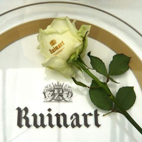 Stel je voor, de iconische roos - een symbool beladen met diepgaande betekenis - nu volledig op maat gepersonaliseerd. Met onze unieke service kun je jouw logo, speciale wens, of treffende slogan laten schitteren op deze prachtige, luxueuze en levende roos. Een elegante en oprechte manier om je relaties te laten zien hoeveel ze voor jou betekenen. Naast de inherente symboliek van de roos, creëer je met een bedrukte roos een waardevol en gedenkwaardig relatiegeschenk. De roos wordt verpakt in een krafthoesje, wat het weggeven extra makkelijk maakt. De roos blijft zo’n 10 tot 14 dagen goed.<br /><br />Deze gepersonaliseerde levende rozen zijn niet alleen symbolisch waardevol, maar ook praktisch inzetbaar. Perfect om uit te delen tijdens bijeenkomsten, evenementen, of zakelijke gelegenheden. Het geven van een bedrukte roos is een sublieme manier om je waardering te uiten en alle aanwezigen te bedanken voor hun komst. Deze subtiele blijk van dankbaarheid zal ongetwijfeld een blijvende indruk achterlaten, en de gepersonaliseerde roos zal een prachtige herinnering vormen aan het moment en de relatie. Laat jouw boodschap bloeien op deze betekenisvolle bloem, en zie hoe de kracht van een gepersonaliseerde roos de band met je relaties versterkt. Door gebruik te maken van speciale technieken kunnen we verzekeren dat het personaliseren van de bloem geen impact heeft op hun levensduur.<br /><br />Heeft u vragen over dit product, de gewenste personalisatie of eventuele verpakkingen? Neem dan gerust contact met ons op.