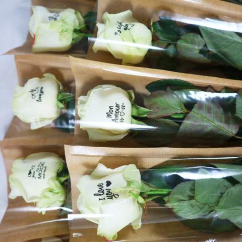 Faites fleurir votre message avec une rose vivante personnalisée – le symbole ultime de reconnaissance et de lien. Cette fleur luxueuse peut être imprimée avec votre logo, slogan ou message, et reste belle pendant 10 à 14 jours dans de bonnes conditions. Présentée dans une élégante pochette kraft, elle est idéale à distribuer en 1 à 2 jours lors d’événements, de réunions ou comme cadeau d’entreprise. La rose allie symbolique, élégance et impact durable, donnant à chaque moment une signification particulière.<br /><br />Message Printz® – Dites-le avec des fleurs et des plantes.<br />Ce produit fait partie de notre collection Message Printz®. Ce sont de vraies fleurs et plantes vivantes, personnalisées avec un message ou votre logo, directement sur la feuille ou la fleur. Grâce à des techniques innovantes, l'impression n'affecte ni la santé ni la durée de vie de la plante. Le message ou le logo reste bien visible tant que la plante reste en bonne santé, et ne peut pas être simplement effacé. Chaque article Message Printz® est reconnaissable à son petit symbole en forme d’enveloppe. Une manière unique et durable d’exprimer votre message, marque ou reconnaissance.<br /><br />Avez-vous des questions sur ce produit, la personnalisation souhaitée ou les emballages éventuels ? N'hésitez pas à nous contacter.