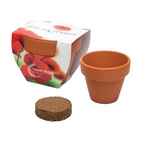 WoW! Kit de culture comprenant : • 1 pot en terre cuite (Ø 5,5 cm x 5 cm) • 1 sachet de graines de votre choix • 1 plaquette de terreau (Ø 3 cm) • 1 emballage personnalisé en couleur que vous pouvez entièrement adapter à votre marque ou à votre message.    Choisissez parmi trois types de graines : fleurs, herbes ou légumes.     Cet ensemble fait bonne impression de manière inspirante. Fabriqué en Europe.