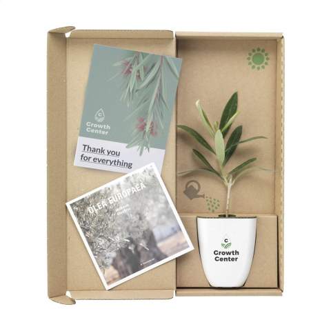 Mailbox trees from the Treemore brand is a product range in which the tree takes centre stage, where everyone can take care of their own tree at home, watching them grow. The trees are sourced from an Dutch nurseries and are delivered in a flower pot and packaging that has been specially developed to fit through a letterbox. The tree is supplied in the soil and in a bio-based flower pot made from elephant grass fibres. The packaging and the supplied information booklet are FSC certified and 100% recyclable. Available in different varieties. The Persian silk tree (Albizia julibrissin), the honey tree (Styphnolobium japonicum), the Downey Birch tree (Betula pubescens), Citrus tree (Citrus Hystrix) and the Japanese nut tree (Ginkgo biloba) are seasonal trees and can only be ordered between mid-March and September. The other trees can be ordered all year round. An original way to surprise someone whilst also making the world a little greener.