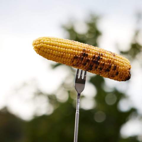 De Fredde vork is uitschuifbaar, grillbestendig en uitermate geschikt voor het grillen van worstjes en groenten en marshmallows boven open vuur. Gemaakt van roestvrij staal met een handvat van rubberhout. Neemt minimale ruimte in wanneer het niet wordt gebruikt.