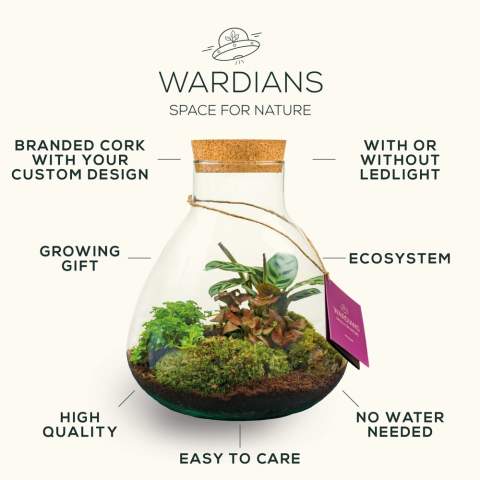 Kies voor een uniek en gepersonaliseerd plantenterrarium met jouw logo als zakelijk relatiegeschenk, waar de ontvanger langdurig van geniet. Een indrukwekkend zwaar en groot model dat luxe en natuur samenbrengt in een prestigieus ontwerp. Onze Wardians® ecosystemen bevatten prachtige levende planten in een glazen terrarium,  afgesloten met kurk. Een ecosysteem of plantenterrarium creëert een zelfregulerend mini-biotoop waarin levende organismen samenwerken om alles te recyclen. Hierdoor kunnen de planten gedijen zonder externe verzorging. Zo heeft de ontvanger van dit groene cadeau er nauwlijks onderhoudt aan, maar wél langdurig plezier van.<br /><br />Deze ecosystemem zijn het erfgoed van de originele Wardian case, een innovatieve uitvinding van Nathaniel Bagshaw Ward uit de 19e eeuw. Dit idee van Ward om een enorm ecosysteem op een schip te maken, werd oorspronkelijk ontworpen om planten te beschermen tijdens lange zeereizen. De planten konden door deze uitvinding de reis overleven dankzij het zelfregulerende systeem dat op het schip gecreëerd was. Onze Wardians® plantenterrariums zetten deze traditie voort door historische elegantie te combineren met moderne functionaliteit. Geniet van de tijdloze schoonheid en het praktische nut, geïnspireerd door Wards opmerkelijke uitvinding. <br /><br />Ecosystemen staan symbool voor groei, balans en samenwerking. Een Wardians® plantenterrarium brengt niet alleen sfeer in huis of op kantoor, maar krijgt door personalisatie ook een functioneel karakter. Door de kurk of het hanglabel te bedrukken met jouw logo, slogan of boodschap, blijft jouw merk op een groene en originele manier top of mind.<br /><br />De luxe en beschermende giftbox maakt het cadeau helemaal af en zorgt voor een indrukwekkende unboxing-ervaring – voor zowel de gever als de ontvanger.<br /><br />Heeft u vragen over dit product, de gewenste personalisatie of eventuele verpakkingen? Neem dan gerust contact met ons op.