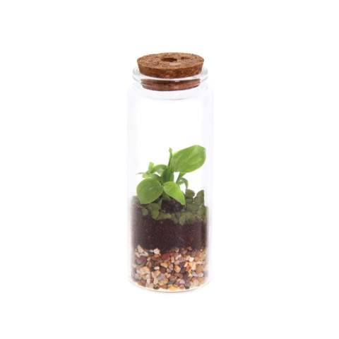 Kies voor een uniek en gepersonaliseerd plantenterrarium met jouw logo als zakelijk relatiegeschenk, waar de ontvanger langdurig van geniet. Dit compacte en stijlvolle flesje is ideaal als duurzame giveaway met een frisse inhoud. Onze Wardians® ecosystemen bevatten prachtige levende planten in een glazen terrarium,  afgesloten met kurk. Een ecosysteem of plantenterrarium creëert een zelfregulerend mini-biotoop waarin levende organismen samenwerken om alles te recyclen. Hierdoor kunnen de planten gedijen zonder externe verzorging. Zo heeft de ontvanger van dit groene cadeau er nauwlijks onderhoudt aan, maar wél langdurig plezier van.<br /><br />Deze ecosystemem zijn het erfgoed van de originele Wardian case, een innovatieve uitvinding van Nathaniel Bagshaw Ward uit de 19e eeuw. Dit idee van Ward om een enorm ecosysteem op een schip te maken, werd oorspronkelijk ontworpen om planten te beschermen tijdens lange zeereizen. De planten konden door deze uitvinding de reis overleven dankzij het zelfregulerende systeem dat op het schip gecreëerd was. Onze Wardians® plantenterrariums zetten deze traditie voort door historische elegantie te combineren met moderne functionaliteit. Geniet van de tijdloze schoonheid en het praktische nut, geïnspireerd door Wards opmerkelijke uitvinding. <br /><br />Ecosystemen staan symbool voor groei, balans en samenwerking. Een Wardians® plantenterrarium brengt niet alleen sfeer in huis of op kantoor, maar krijgt door personalisatie ook een functioneel karakter. Door de kurk of het hanglabel te bedrukken met jouw logo, slogan of boodschap, blijft jouw merk op een groene en originele manier top of mind.<br /><br />De luxe en beschermende giftbox maakt het cadeau helemaal af en zorgt voor een indrukwekkende unboxing-ervaring – voor zowel de gever als de ontvanger.<br /><br />Heeft u vragen over dit product, de gewenste personalisatie of eventuele verpakkingen? Neem dan gerust contact met ons op.
