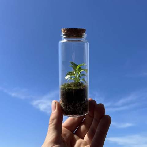 Kies voor een uniek en gepersonaliseerd plantenterrarium met jouw logo als zakelijk relatiegeschenk, waar de ontvanger langdurig van geniet. Dit compacte en stijlvolle flesje is ideaal als duurzame giveaway met een frisse inhoud. Onze Wardians® ecosystemen bevatten prachtige levende planten in een glazen terrarium,  afgesloten met kurk. Een ecosysteem of plantenterrarium creëert een zelfregulerend mini-biotoop waarin levende organismen samenwerken om alles te recyclen. Hierdoor kunnen de planten gedijen zonder externe verzorging. Zo heeft de ontvanger van dit groene cadeau er nauwlijks onderhoudt aan, maar wél langdurig plezier van.<br /><br />Deze ecosystemem zijn het erfgoed van de originele Wardian case, een innovatieve uitvinding van Nathaniel Bagshaw Ward uit de 19e eeuw. Dit idee van Ward om een enorm ecosysteem op een schip te maken, werd oorspronkelijk ontworpen om planten te beschermen tijdens lange zeereizen. De planten konden door deze uitvinding de reis overleven dankzij het zelfregulerende systeem dat op het schip gecreëerd was. Onze Wardians® plantenterrariums zetten deze traditie voort door historische elegantie te combineren met moderne functionaliteit. Geniet van de tijdloze schoonheid en het praktische nut, geïnspireerd door Wards opmerkelijke uitvinding. <br /><br />Ecosystemen staan symbool voor groei, balans en samenwerking. Een Wardians® plantenterrarium brengt niet alleen sfeer in huis of op kantoor, maar krijgt door personalisatie ook een functioneel karakter. Door de kurk of het hanglabel te bedrukken met jouw logo, slogan of boodschap, blijft jouw merk op een groene en originele manier top of mind.<br /><br />De luxe en beschermende giftbox maakt het cadeau helemaal af en zorgt voor een indrukwekkende unboxing-ervaring – voor zowel de gever als de ontvanger.<br /><br />Heeft u vragen over dit product, de gewenste personalisatie of eventuele verpakkingen? Neem dan gerust contact met ons op.