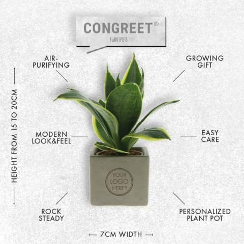 Betonnen potje met een persoonlijke boodschap of een logo; Ontdek de perfecte groene mix in combinatie met de elegantie en robuustheid van onze Congreet® plantpotten. Ideaal voor op kantoor vanwege hun eenvoudige onderhoud, lange levensduur en luchtzuiverende eigenschappen. De Congreet® met planten combineren stoerheid en luxe met een verfrissende uitstraling. De naam ‘Congreet®’ knipoogt naar het gebruikte materiaal (beton) en het vermogen om groeten en boodschappen over te brengen.<br /><br />De Congreet® plantenpotten zijn gevuld met een mix van kwalitatieve en verfrissende sansevieria planten, die bekend staan om hun luchtzuiverende eigenschappen en bijdrage aan een gezondere werkomgeving. Met hun minimale onderhoudsbehoeften zijn ze perfect voor op kantoor en voegen ze een decoratief accent toe aan elke ruimte wat lang in beeld is. Kortom, ze zijn de ideale keuze voor jou. Als er toch de voorkeur is voor een andere plant, neem dan gerust contact met ons op.<br /><br />Met een nauwkeurige gravure op het betonnen oppervlak, biedt Congreet® een tijdloze uitstraling die past op elk bureau, tafel of kantoorruimte. De mogelijkheden zijn eindeloos – van bedrijfslogo’s tot inspirerende citaten – waardoor deze potjes zich onderscheiden als promotionele artikelen of relatiegeschenken. Of het nu gaat om een blijk van waardering voor medewerkers, een promotioneel geschenk voor klanten, of een feestelijke touch tijdens speciale evenementen, Congreet® past naadloos in elke zakelijke setting.<br /><br />Heeft u vragen over dit product, de gewenste personalisatie of eventuele verpakkingen? Neem dan gerust contact met ons op.
