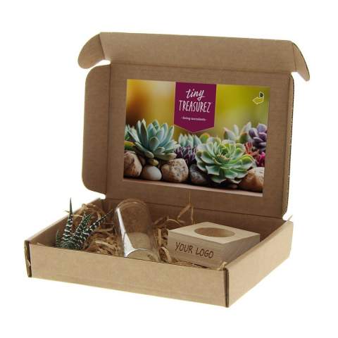 Tiny Treasurez® zijn levende mini-succulenten, als schatten uit de natuur. Deze prachtige groene decoraties vertegenwoordigen kleine ontdekkingen van moeder natuur en komen in verschillende soorten. Alle onze Tiny Treasurez® zijn uniek op zichzelf en hebben weinig onderhoud nodig, wat natuurlijk ideaal is. Ze kunnen heel langzaam wortels creëren, een illustratie van hun natuurlijke overlevingsdrang. Tiny Treasurez® hebben voldoende vochtreserves in hun blad om maandenlang droog te overleven. Ze symboliseren ook wel groei, leven en duurzaamheid. Wil je deze succulenten in een later stadium verder laten groeien, leg ze dan met de onderzijde voorzichtig in een potje gevuld met enigszins droge potgrond.<br /><br />Het FSC-gecertificeerde houten standaardje dient als houder voor de glazen tube, die gevuld is met wat zand en de minisucculenten. De houder kan worden gepersonaliseerd met jouw logo, slogan of boodschap. Het totaal is fraai verpakt in een doosje. Deze combinatie van glas, hout en de Tiny Treasurez® is een luxe en opvallend item voor bijvoorbeeld op het bureau. Op het kaartje staat het verhaal achter de Tiny Treasurez®, zodat ook de ontvanger weet wat voor unieks hij of zij ontvangt. Het levende plantje blijft lang in beeld bij de ontvanger, omdat het niet zomaar in een kast of prullenbak verdwijnt. Personaliseer ze met een boodschap op het product of door middel van een kaartje voor een blijvende indruk. Breng wat extra groene decoratie in huis met onze Tiny Treasurez®.<br /><br />Heeft u vragen over dit product, de gewenste personalisatie of eventuele verpakkingen? Neem dan gerust contact met ons op.