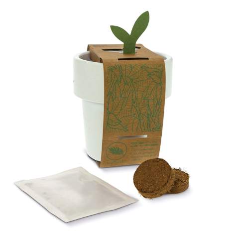 Ein Topf mit Erdbeersamen in verschiedenen bunten Farben. Wenn die Pflanze groß genug ist, um sie in den Garten zu bringen, kann der Topf gereinigt werden und ist als Kaffeebecher wiederverwendbar. Der Rand ist doppelwandig, damit man sich beim Trinken nicht die Hand verbrennt. 